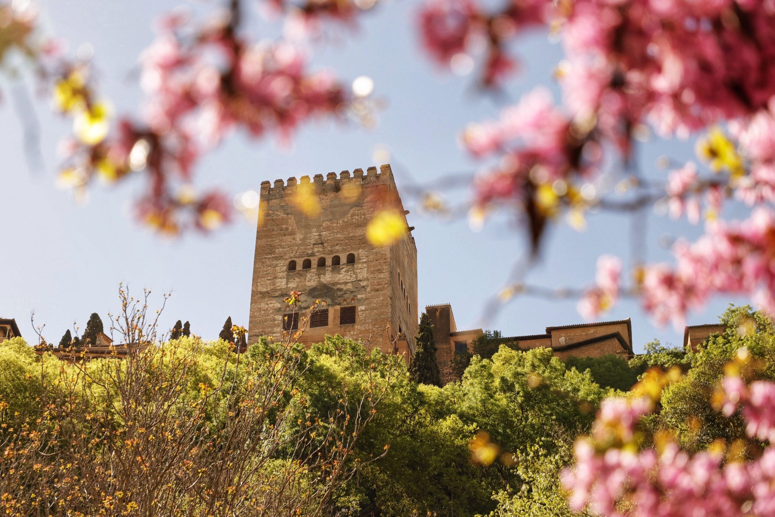 Discover the Splendors of Spain