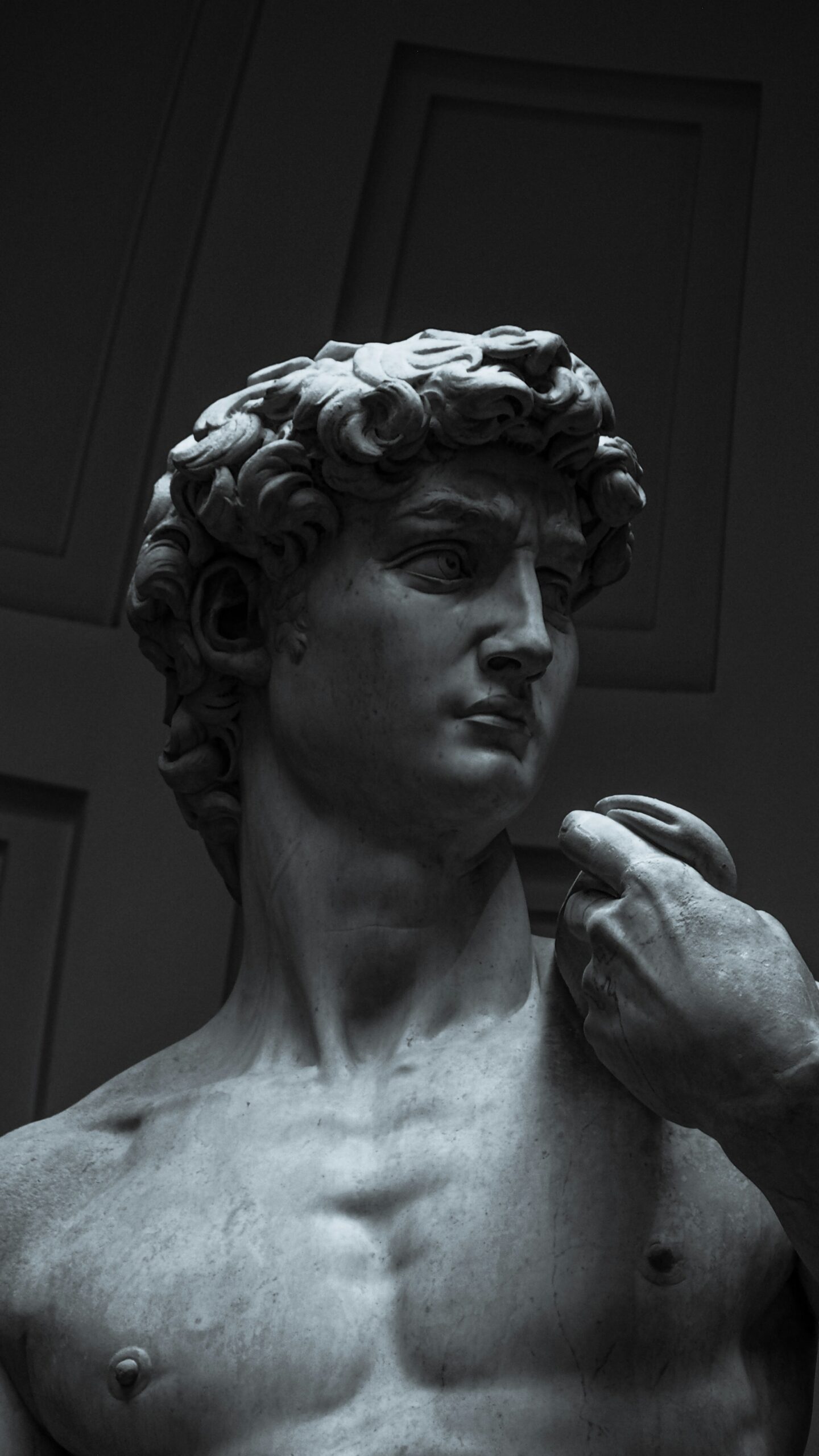 Michelangelo’s David