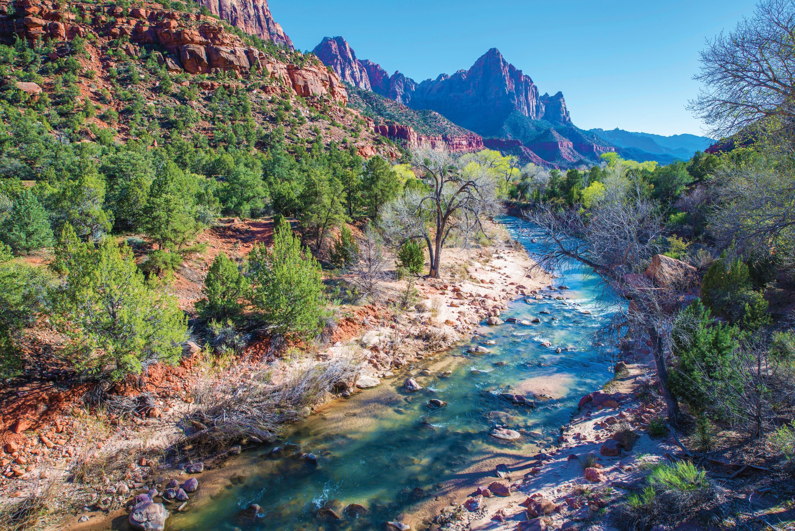 Getting to and Staying at Zion National Park