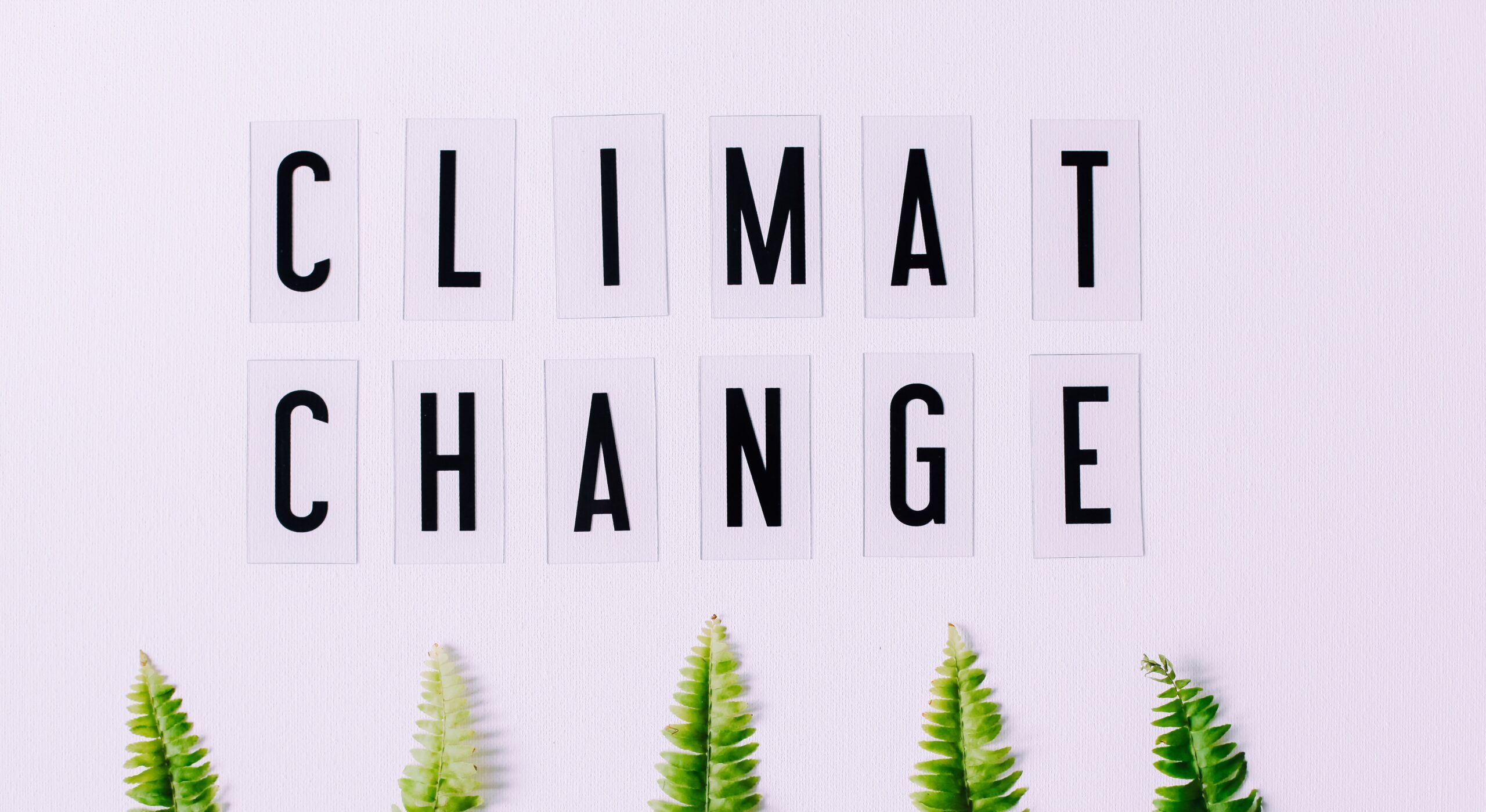 Climate Change: The Future Generations’ Biggest Challenge